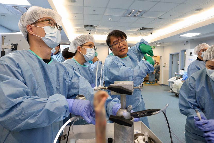 HK Wrist Course 2024 - Workshops  - 106 of 241